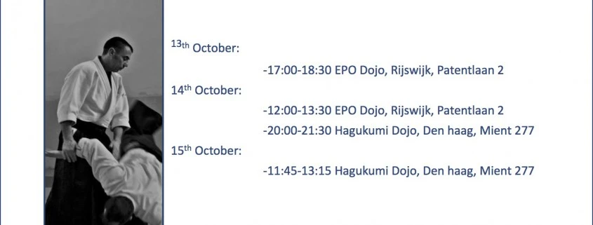 DirkMueller_Aikido_thehague copy